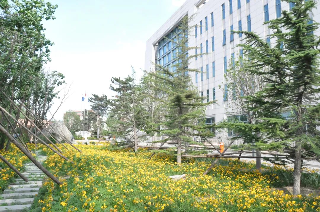 践行可持续发展理念,尊龙凯时全链路打造环保健康人居环境